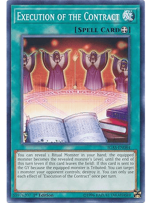 Execution of the Contract - IGAS-EN084 - Common