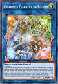 Charmer Quartet in Bloom - BLZD-EN050 - Starlight Rare - thumbnail 2