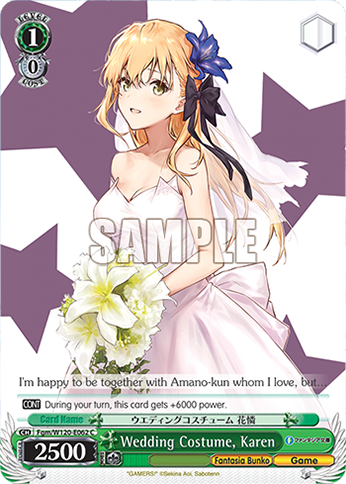 Wedding Costume, Karen - Fgm/W120-E062 - C 1