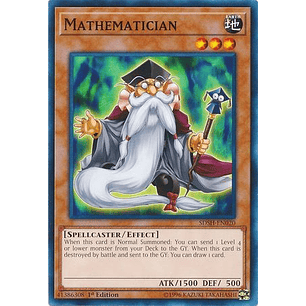 Mathematician - SDSH-EN020 - Common