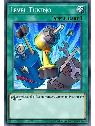 Level Tuning - LODT-EN059 - Common (Reprint)
