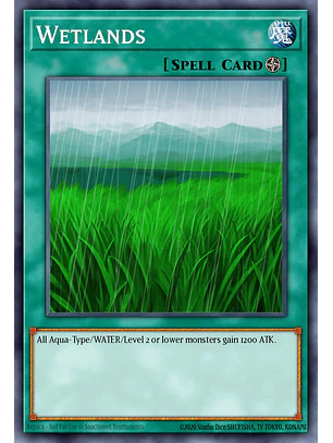 Wetlands - LODT-EN054 - Common (Reprint)