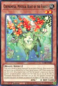 Cerynemesia, Mystical Beast of the Forest - CORI-EN087 - Common - thumbnail 1