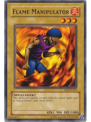 Flame Manipulator - DB1-EN107 - Common