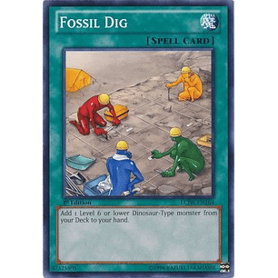 Fossil Dig - LCJW-EN164 - Common