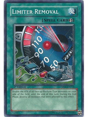 Limiter Removal - DP04-EN016 - Common