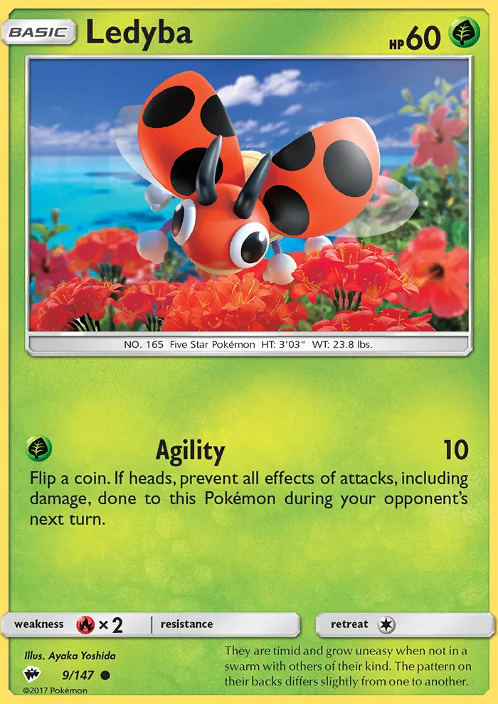 Ledyba - BUS-9 - Common 1