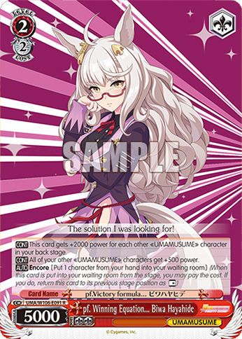 pf. Winning Equation... Biwa Hayahide - UMA/W106-E091 - R 1