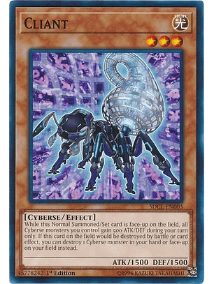 Cliant - SDCL-EN003 - Common