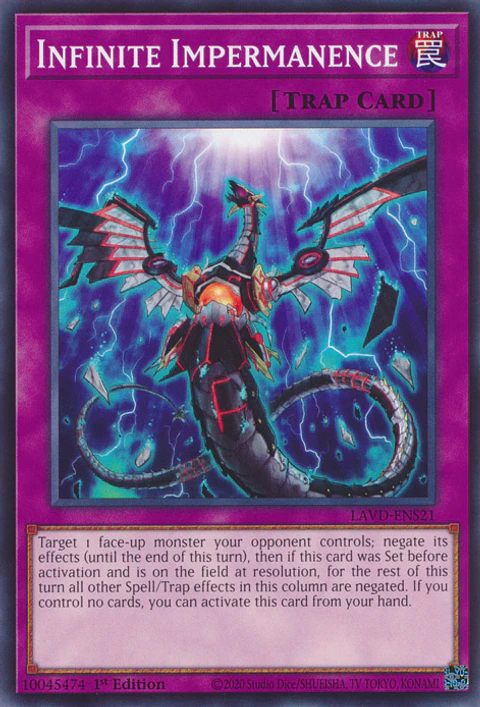 Infinite Impermanence - LAVD-ENS21 - Common