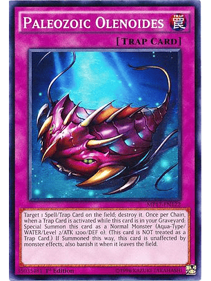 Paleozoic Olenoides - MP17-EN122 - Common