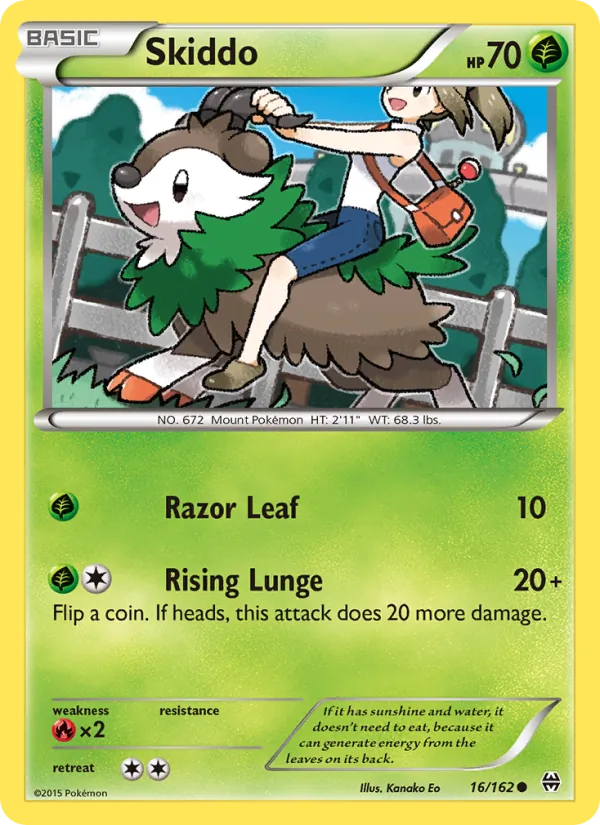 Skiddo - XY8-16 - Common 1