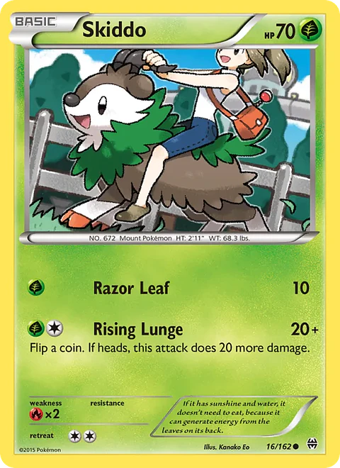 Skiddo - XY8-16 - Common
