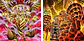 Immortal Phoenix Caja con 24 Sobres - thumbnail 5