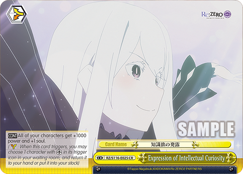 Expression of Intellectual Curiosity - RZ/S116-E025 - CR 1
