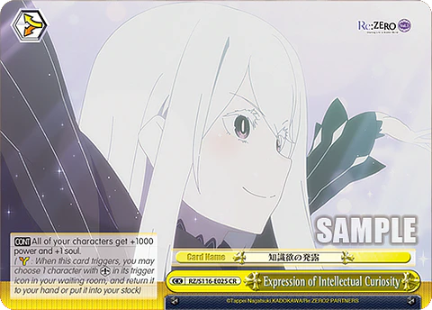 Expression of Intellectual Curiosity - RZ/S116-E025 - CR