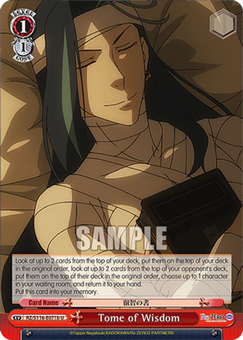 Tome of Wisdom (B) - RZ/S116-E071b - U