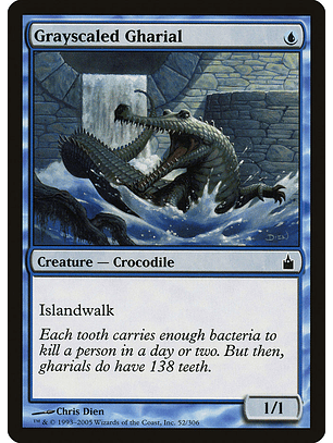 Grayscaled Gharial - RCG - C 