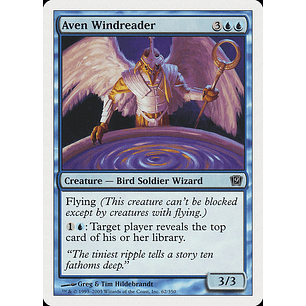 Aven Windreader - 9TH - C 