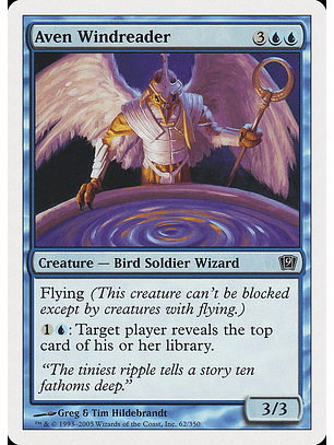 Aven Windreader - 9TH - C 