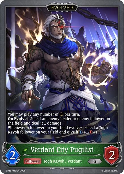 Verdant City Pugilist (Evolved) - BP18-010EN - Silver 1