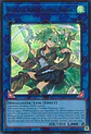 Wynn the Wind Charmer, Verdant - CH02-EN044 - Ultra Rare - Miniatura 1