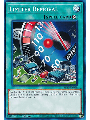 Limiter Removal - SR10-EN029 - Common