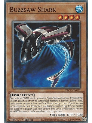 Buzzsaw Shark - ETCO-EN019 - Common