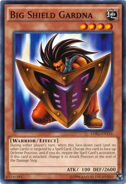 Big Shield Gardna - LDK2-ENY16 - Common