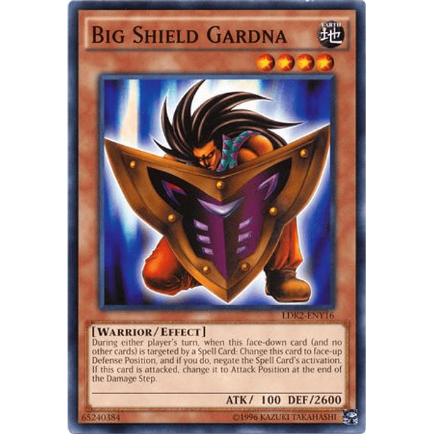 Big Shield Gardna - LDK2-ENY16 - Common