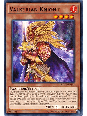 Valkyrian Knight - LDK2-ENJ21 - Common