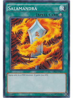 Salamandra - LDK2-ENJ27 - Common