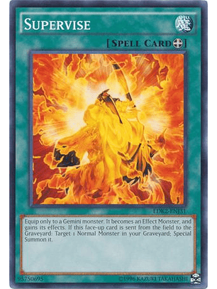 Supervise - LDK2-ENJ31 - Common