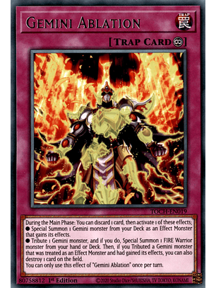 Gemini Ablation - TOCH-EN019 - Rare