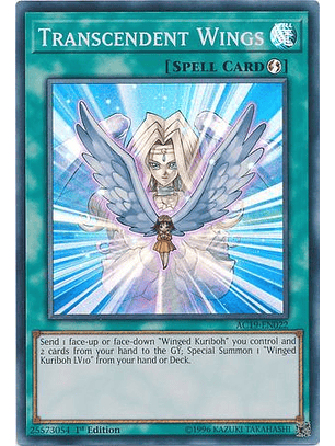 Transcendent Wings - AC19-EN022 - Super Rare