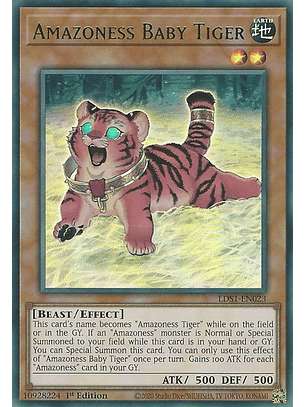 Amazoness Baby Tiger - LDS1-EN023 - Ultra Rare