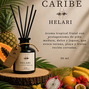Difusor Ambiental con Varillas Caribe