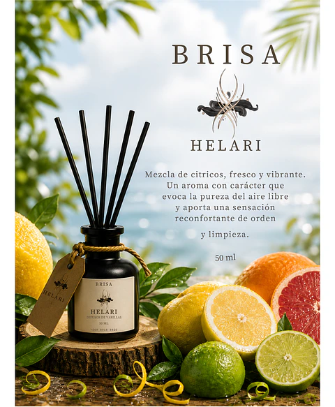 Difusor Ambiental con Varillas Brisa