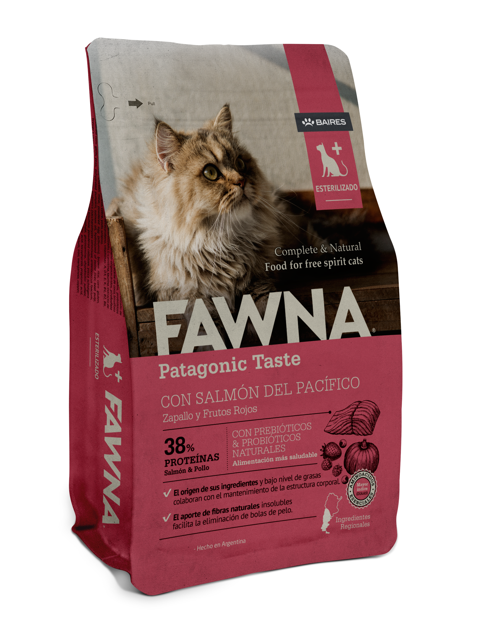 Adult Cat Sterilized