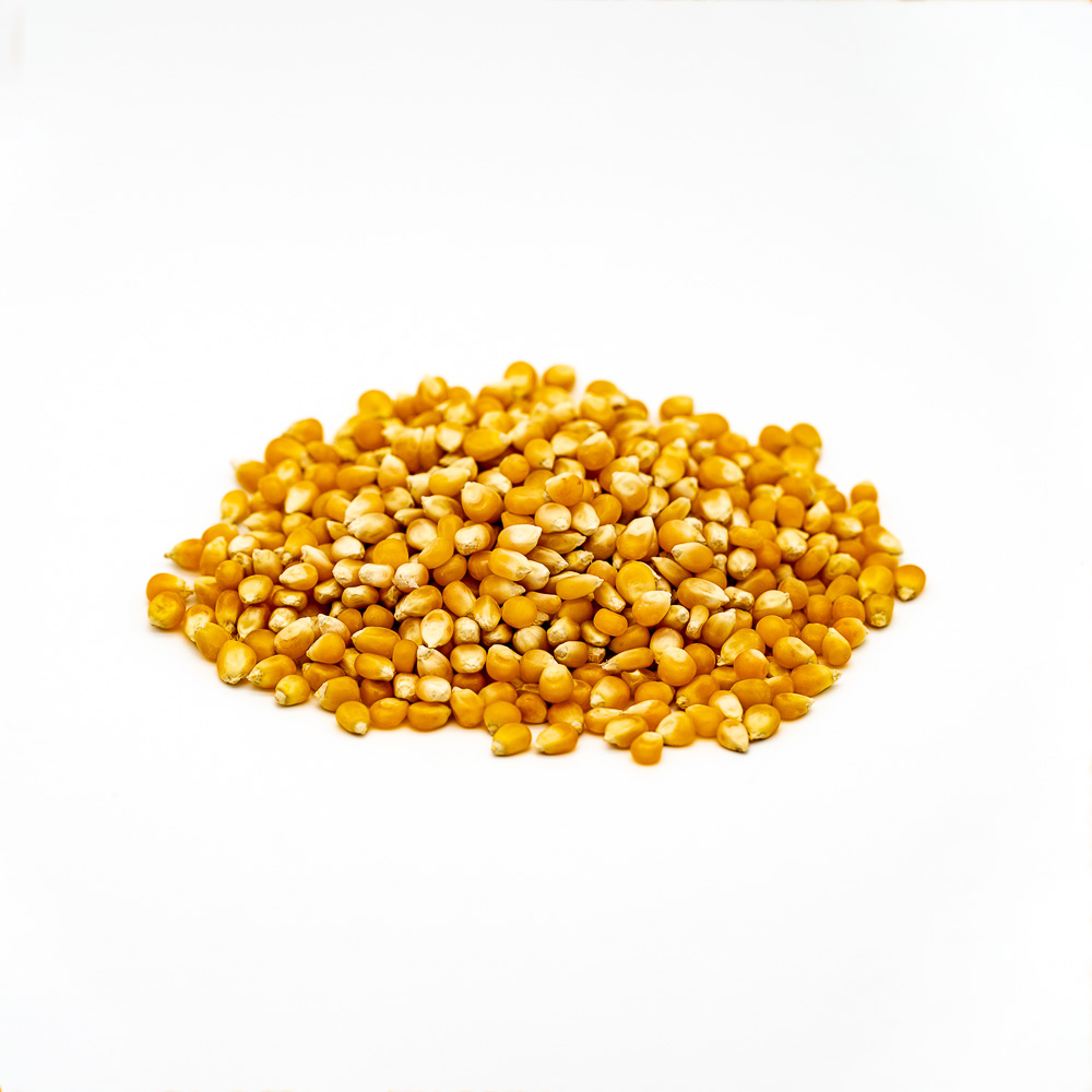 Maiz Curagua (Pop Corn) 1 Kg