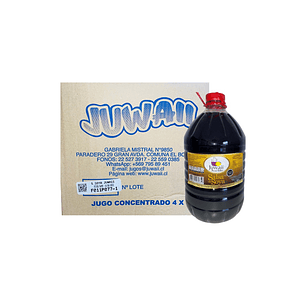 Caja Soya Juwaii 4x5 Lt