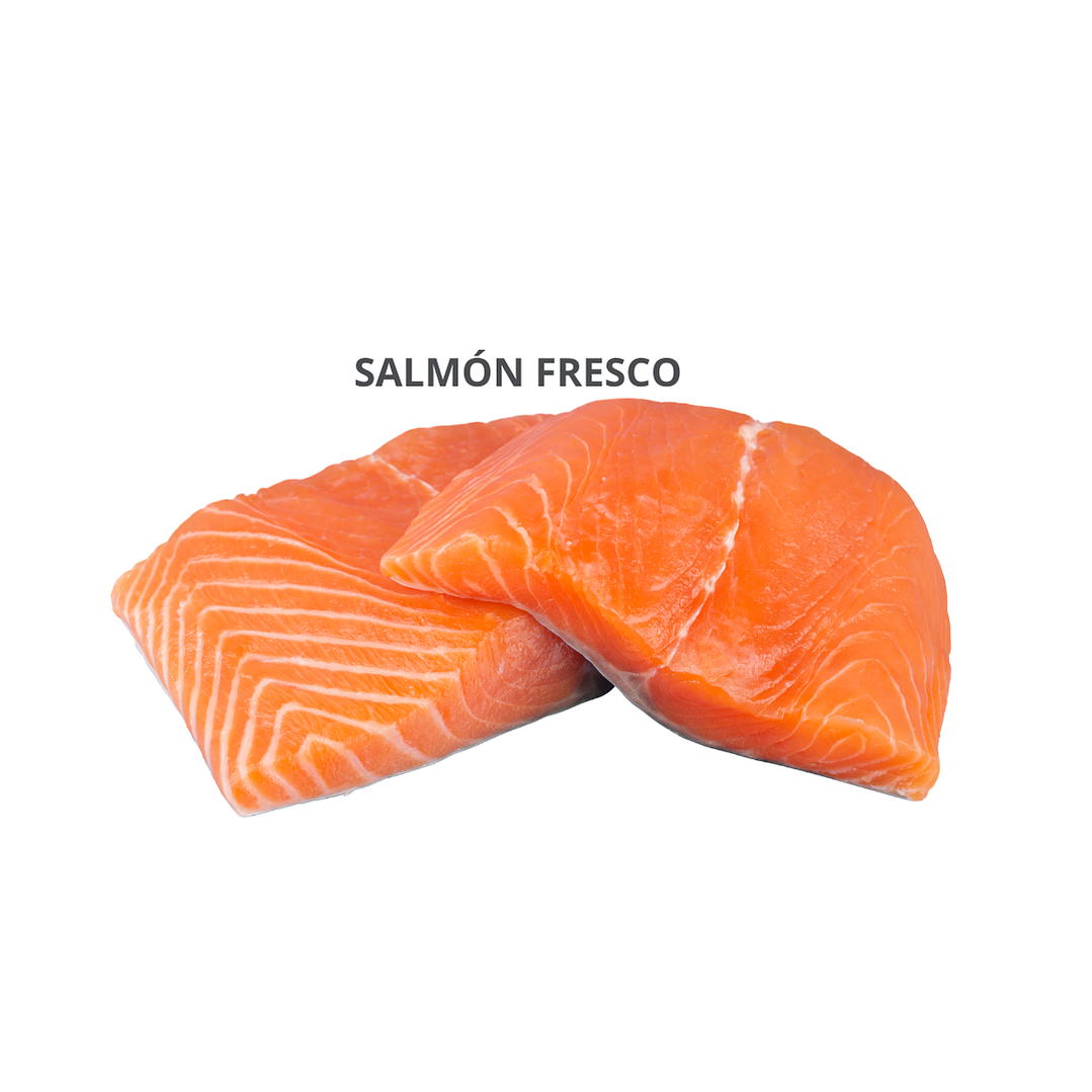Salmón Fresco 1 kilo 1