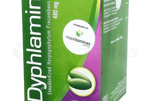 Dyphlamin 480Mg 60Softgels Healthy America