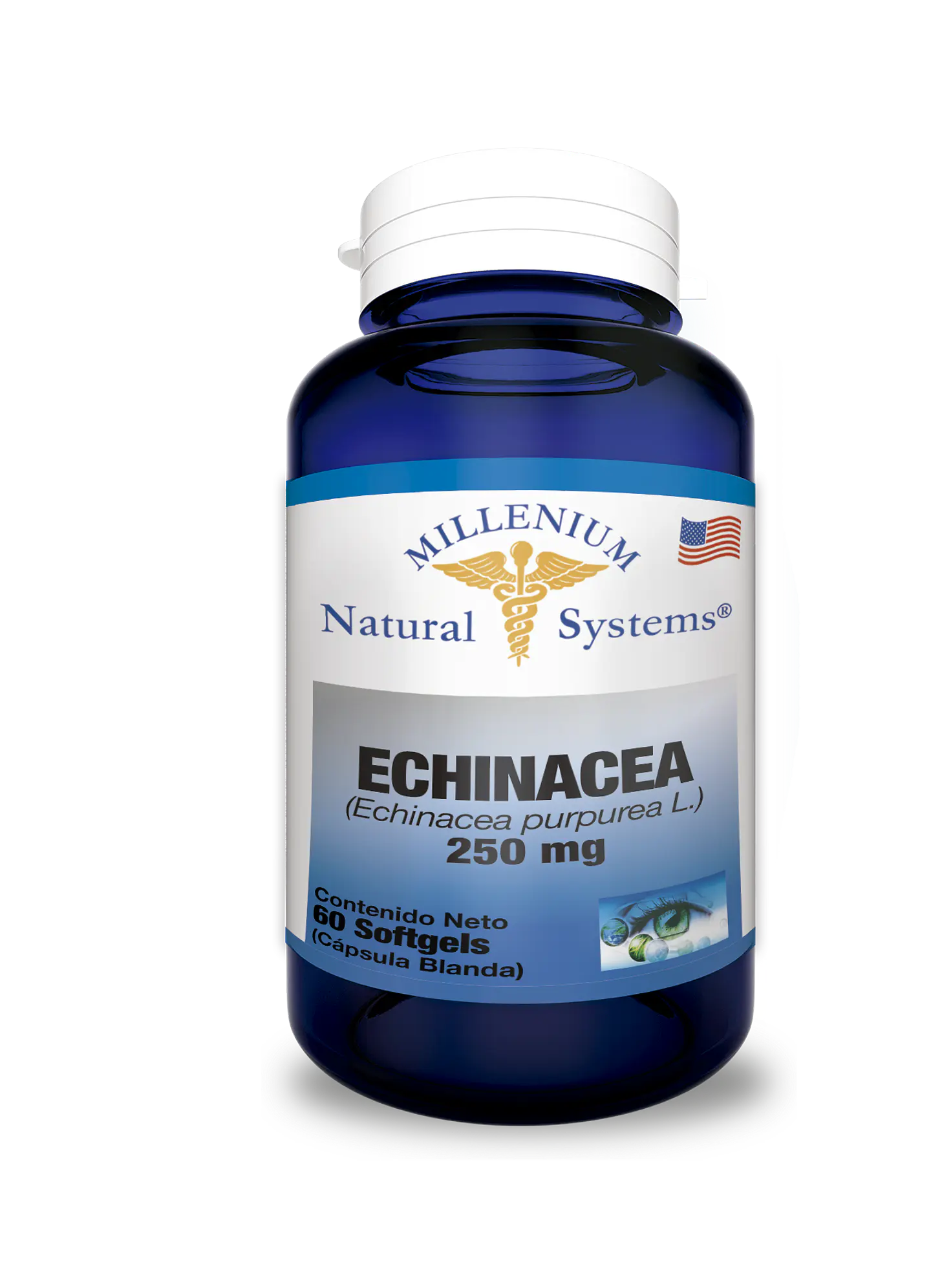 Echinacea 250 mg 60 Sofgetls Natural Systems 1