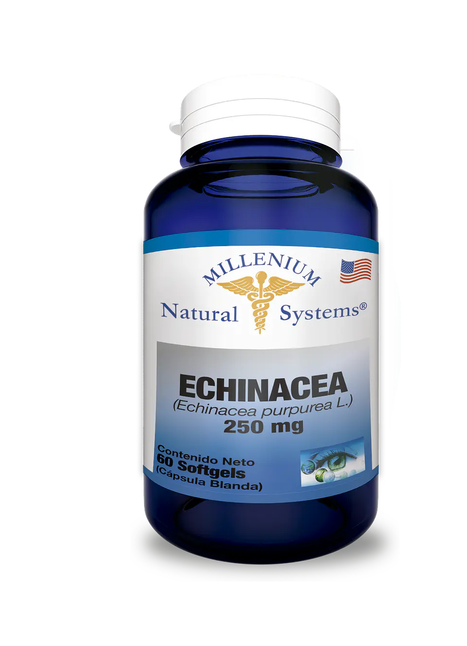 Echinacea 250 mg 60 Sofgetls Natural Systems 1
