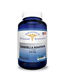 Centella Asiatica 400 mg Natural Systems - thumbnail 1