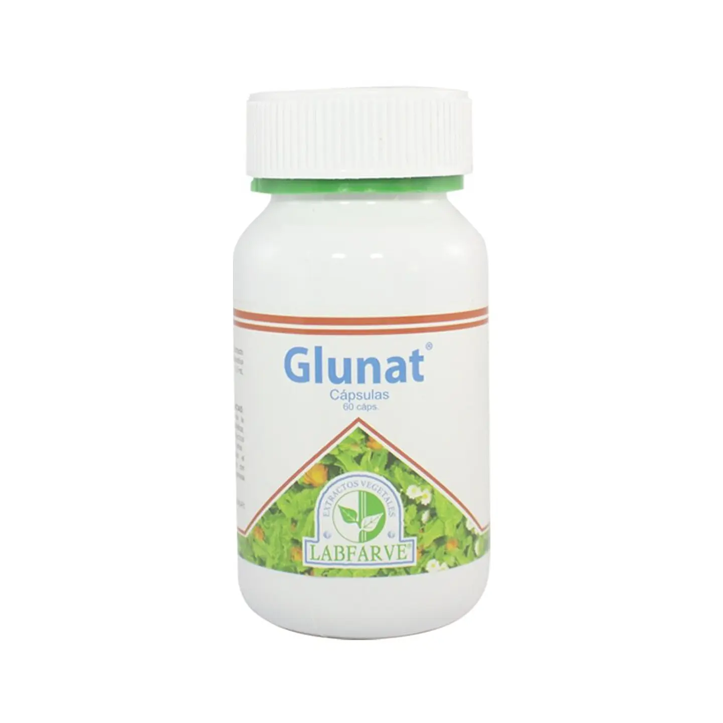 Glunat 60 Capsules 1
