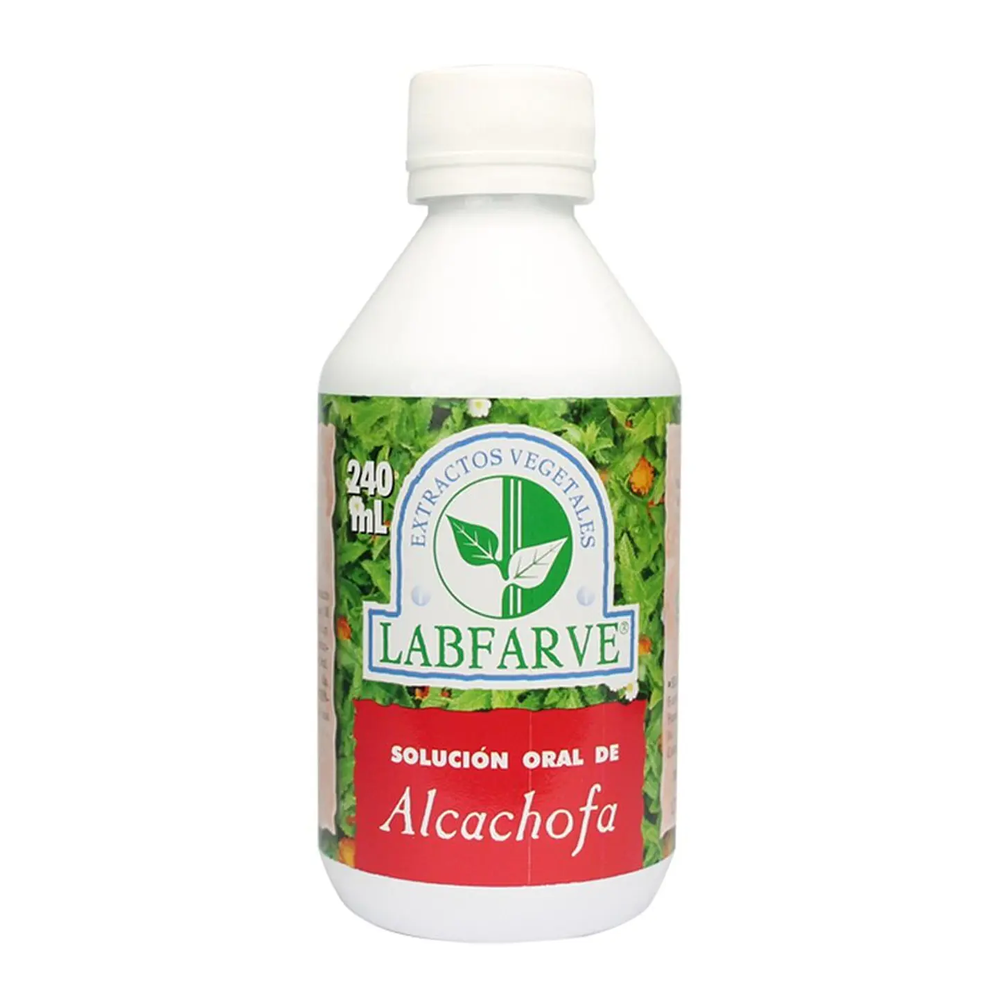 Artichoke Oral Solution 240 ml 1