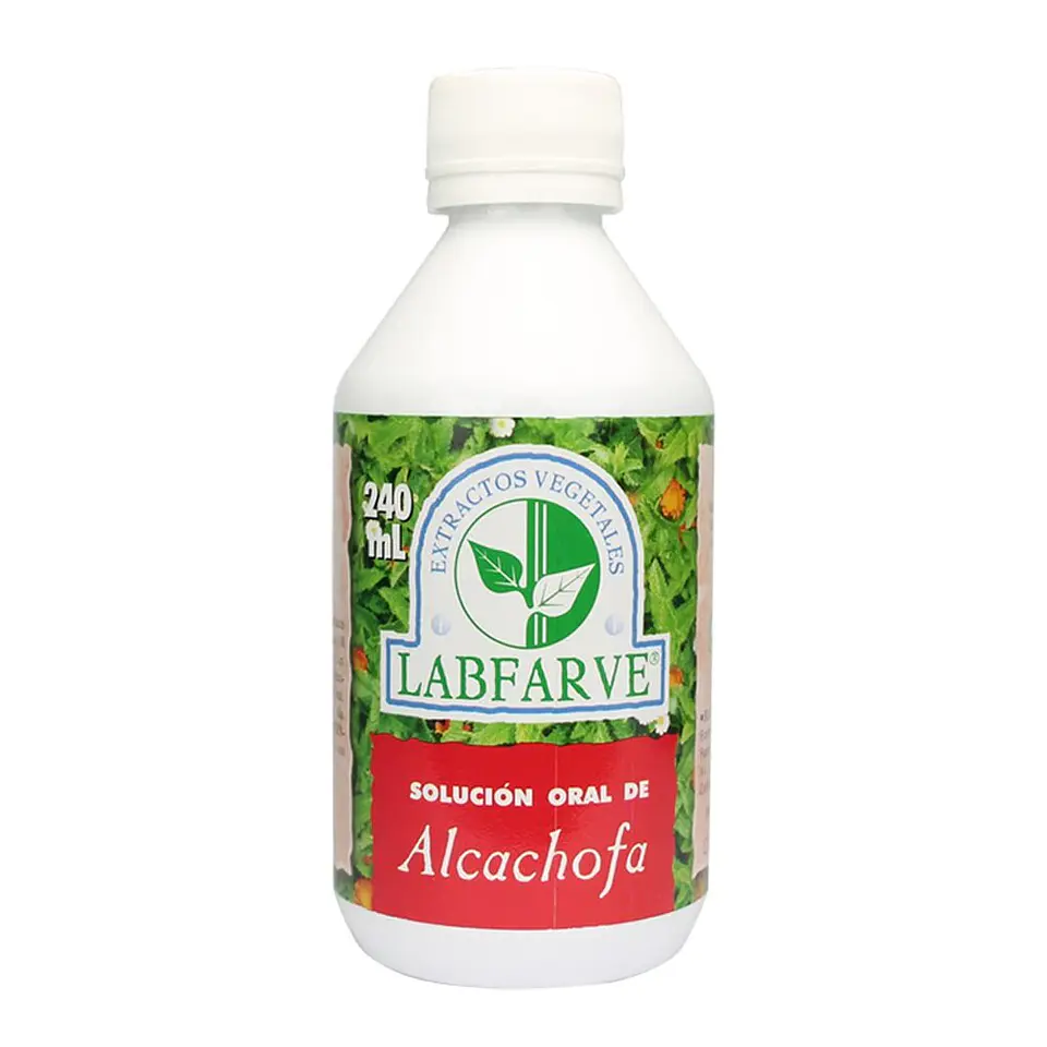 Artichoke Oral Solution 240 ml 1
