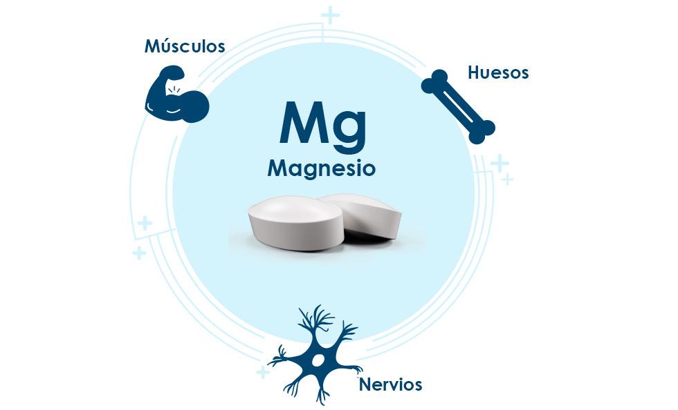 El Poder del Magnesio